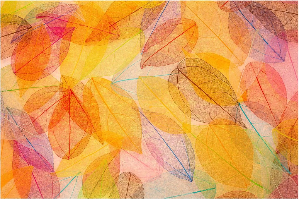 Kép - Háttér az őszi levelekből (90x60 cm)