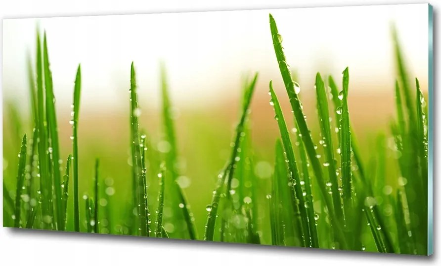 Fotó kép fotó edzett üveg Fű 120x60