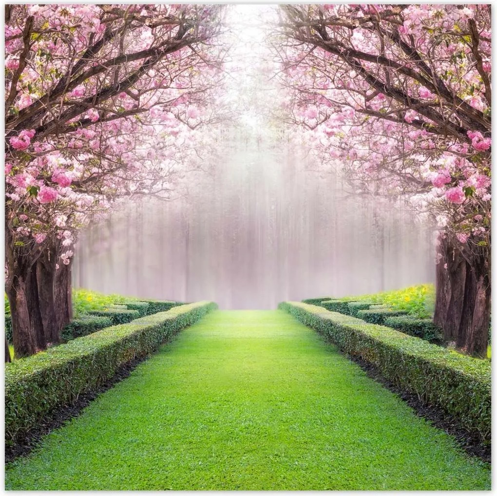 Poszterek 30x30 Gyönyörű virágok a nappaliba