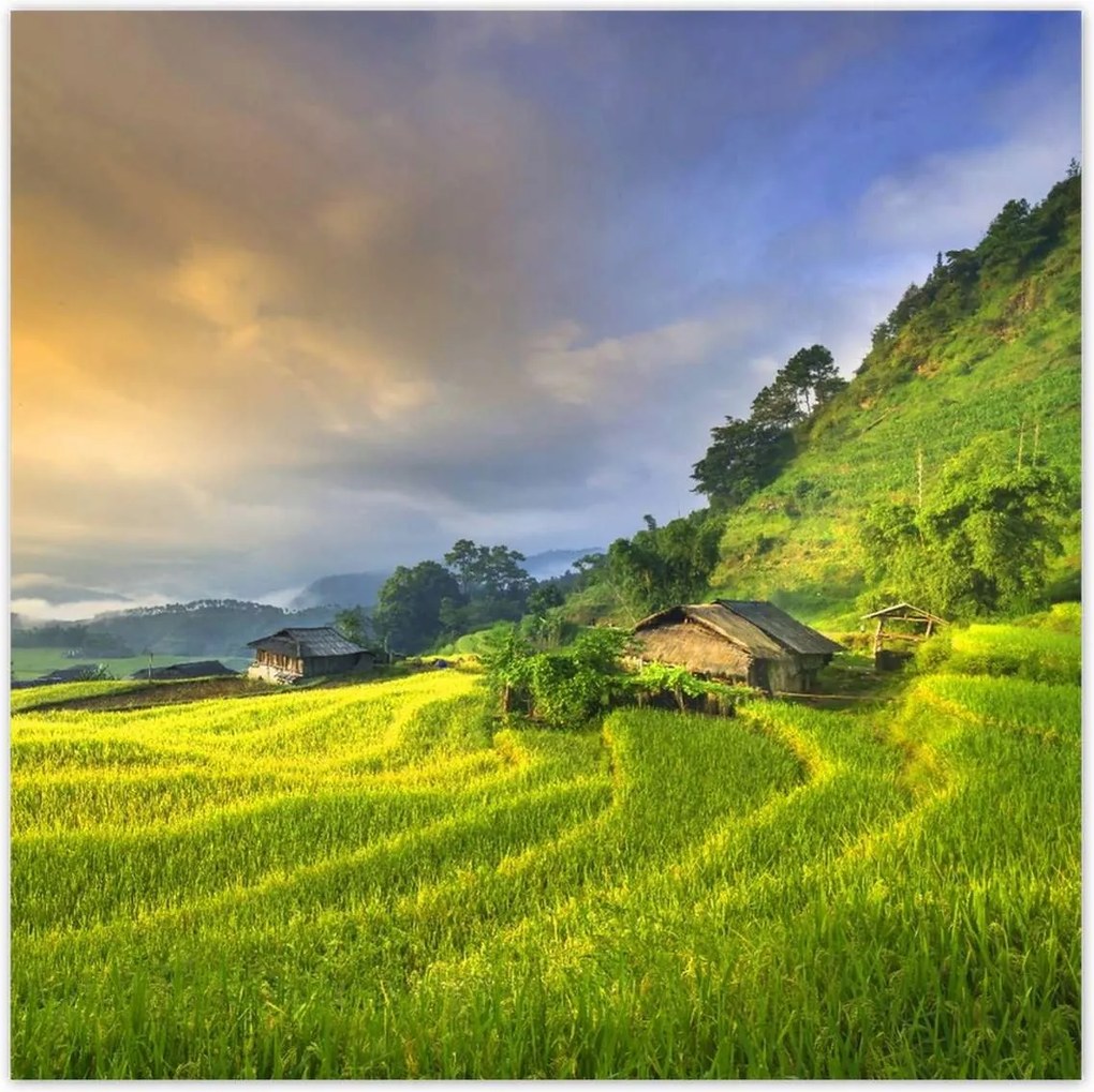 Poszterek 100x100 Kilátás Tájkép