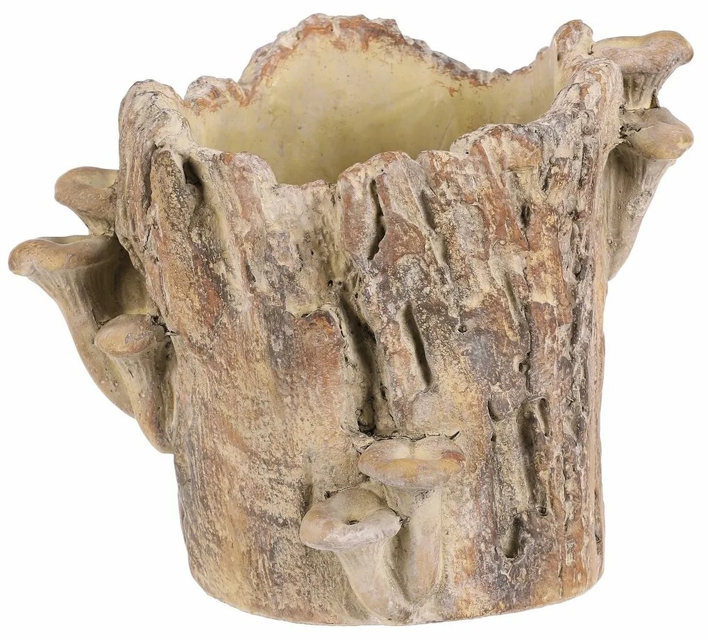 Beton burkolat - tusk with mushrooms, 20 x 18 x 18cm