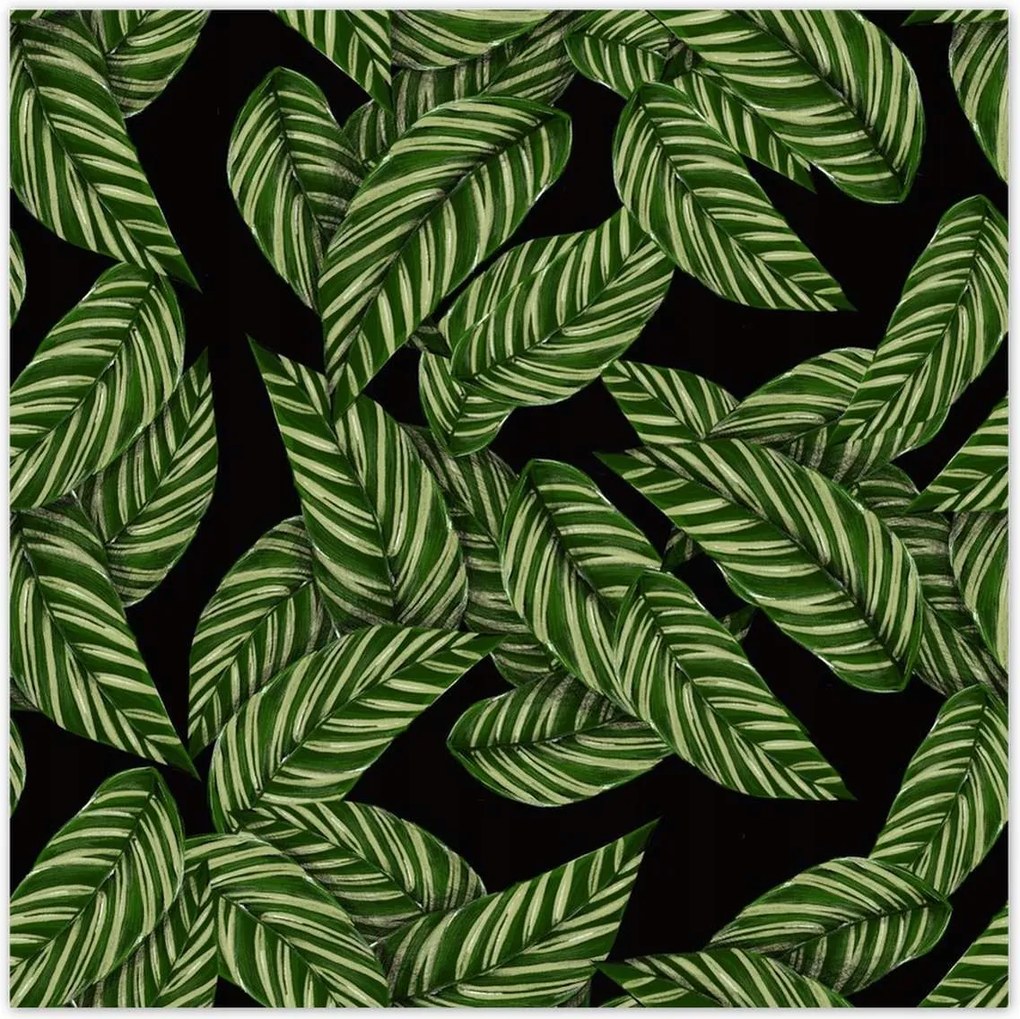 Poszterek 70x70 Zöld levelek Trópusok