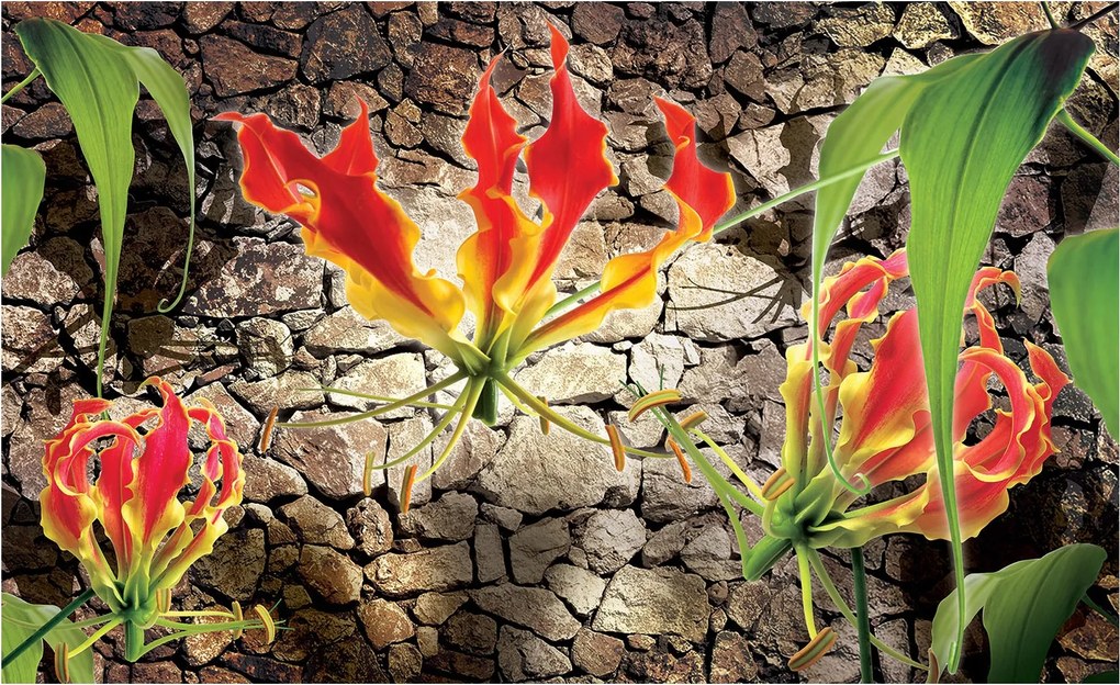 Fotótapéta Gloriózis Tűzvirág a kőfalon 254x184 +ragasztó