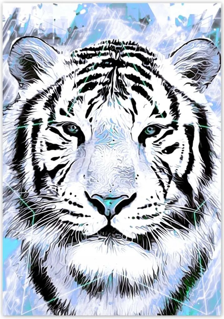 Poszterek 70x100 Tigris csillag türkiz