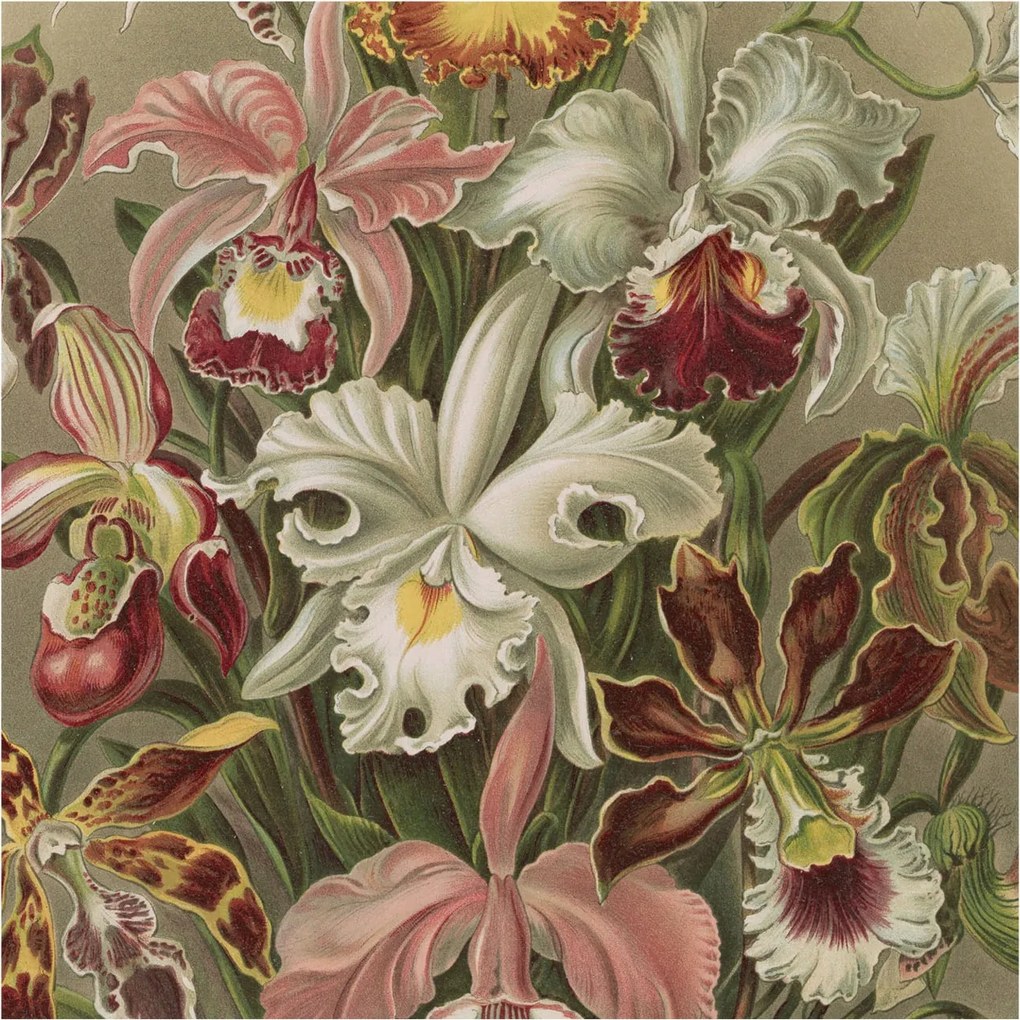 Fotótapéta Flizelin Design Divatos Virágos elegancia 250x250 Ragasztó