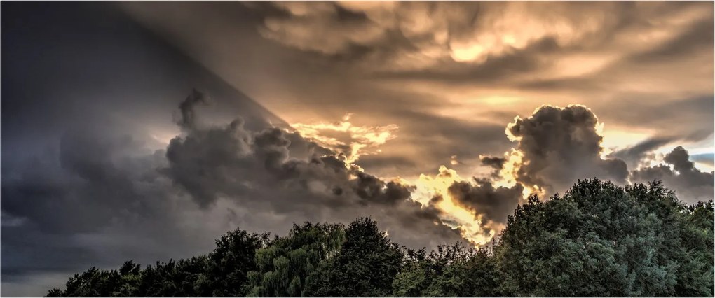 A felhők és az erdő képe (120x50 cm)