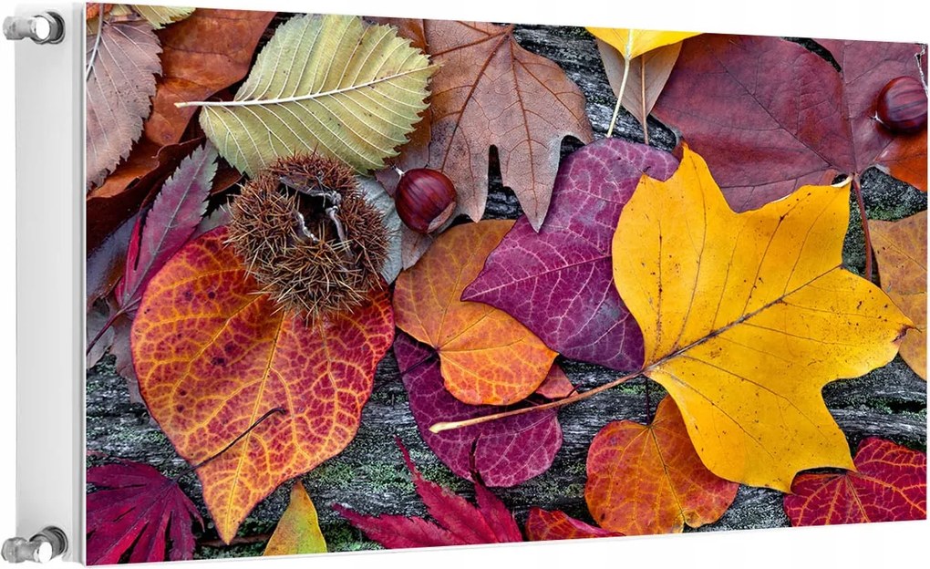 Mágneses Radiátorszőnyeg 100x60 Levelek Fotótapéta