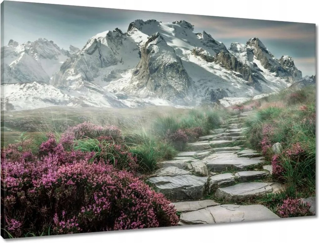 Vászonkép 90x60 Hegyi kilátás Tájkép Köd