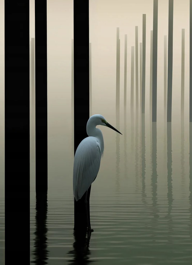 Poszter 40x55cm Köd a vízen