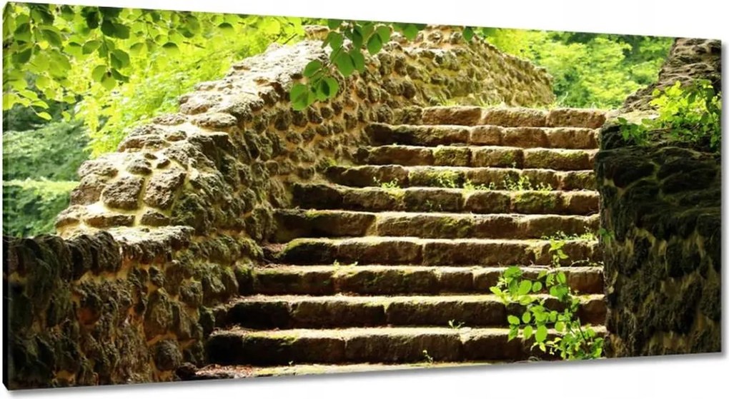 Vászonkép 115x55 Lépcsők az erdőbe Kő