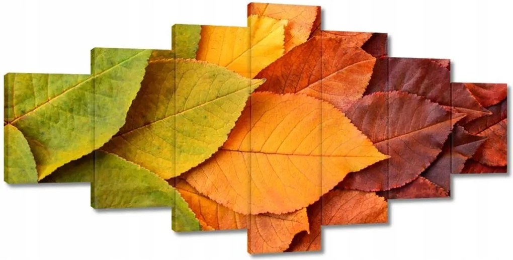 Képek 210x100 Őszi színes levelek Levelek az ősz színeiben