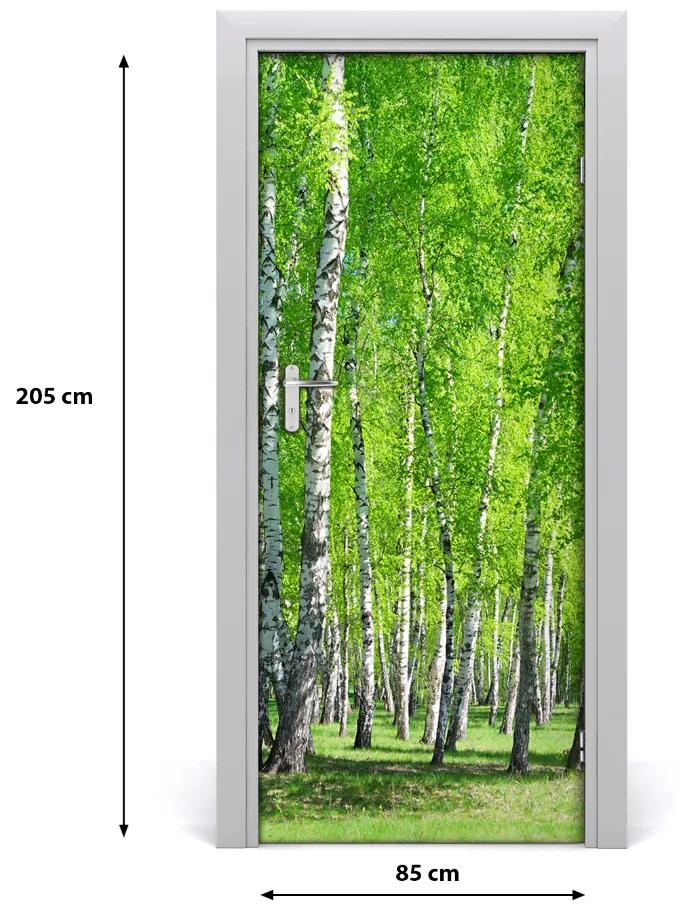 Ajtó tapéta nyírfa erdő 95x205 cm