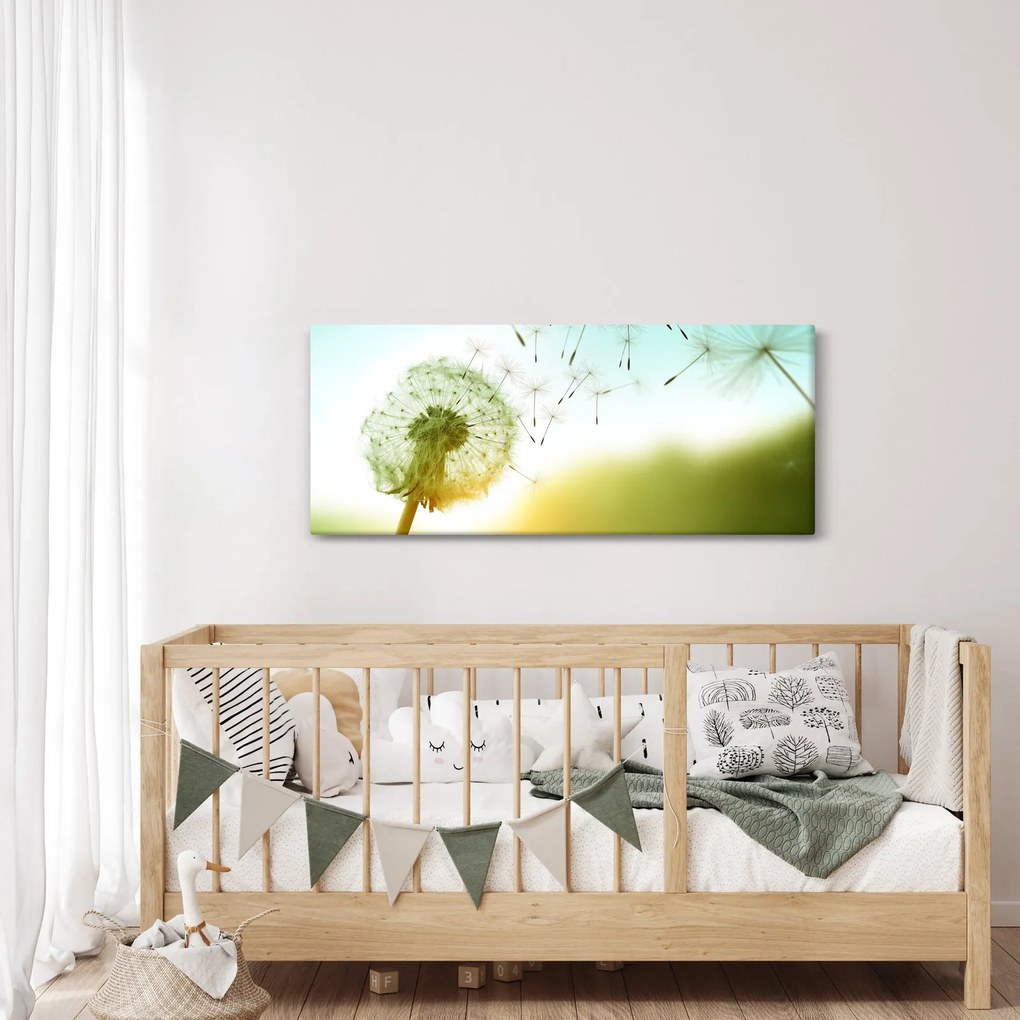 Kép - Pitypang a szélben (120x50 cm)