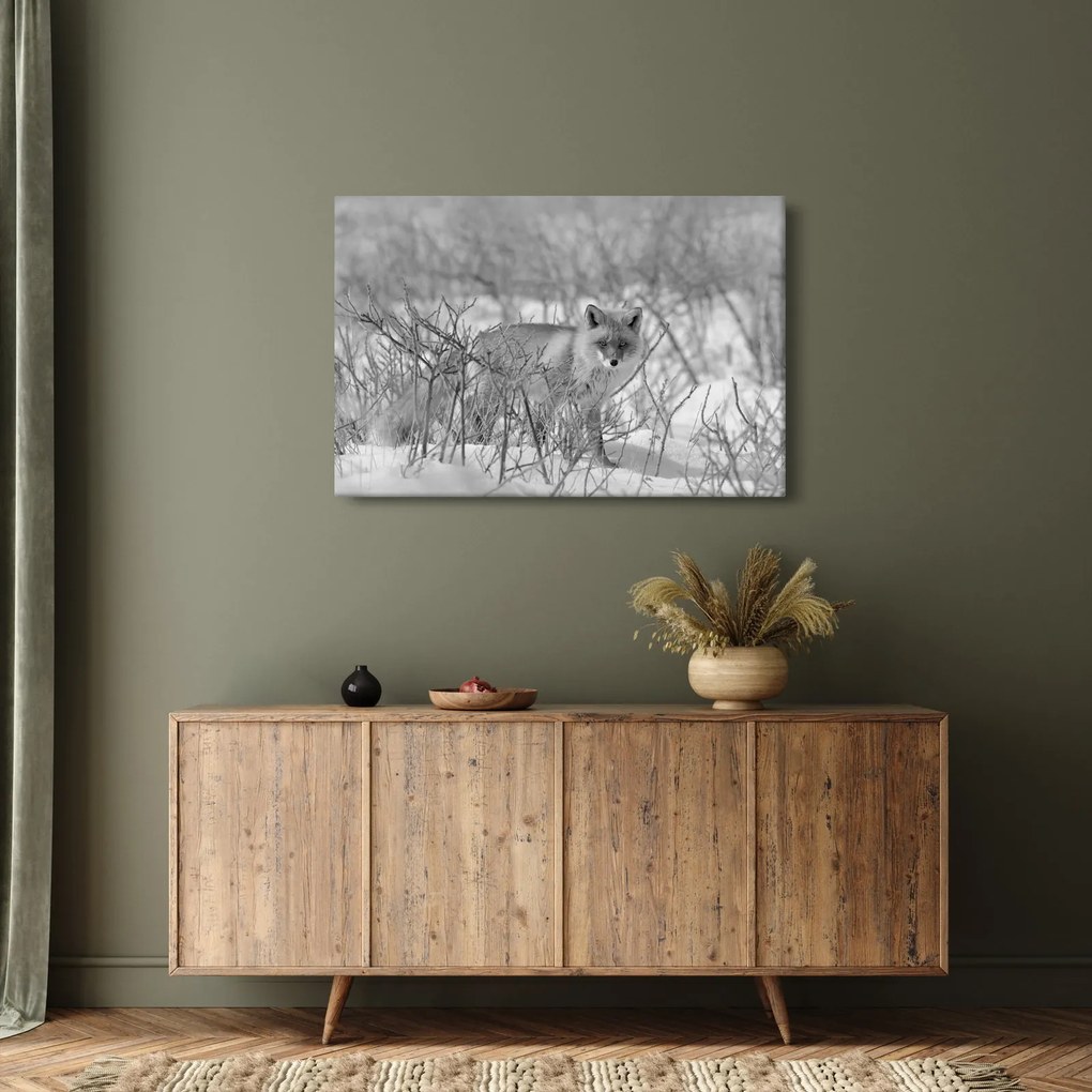 Kép - Róka, fekete, fehér (90x60 cm)