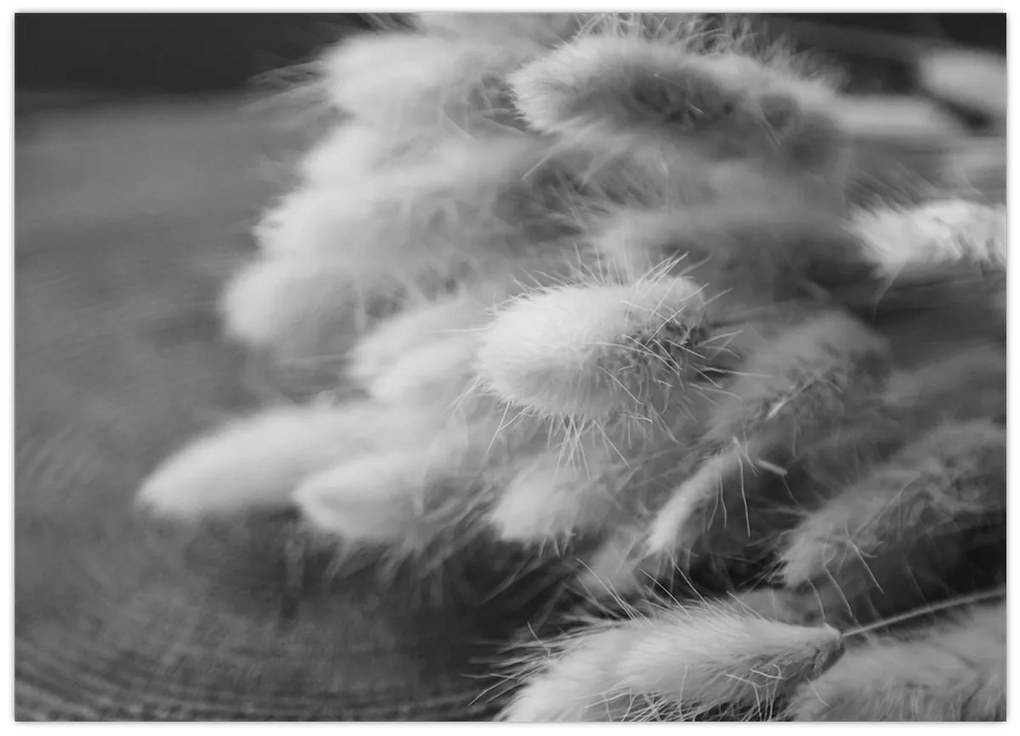 Üveg kép - nyúlfarknyi fű az asztalon (70x50 cm)