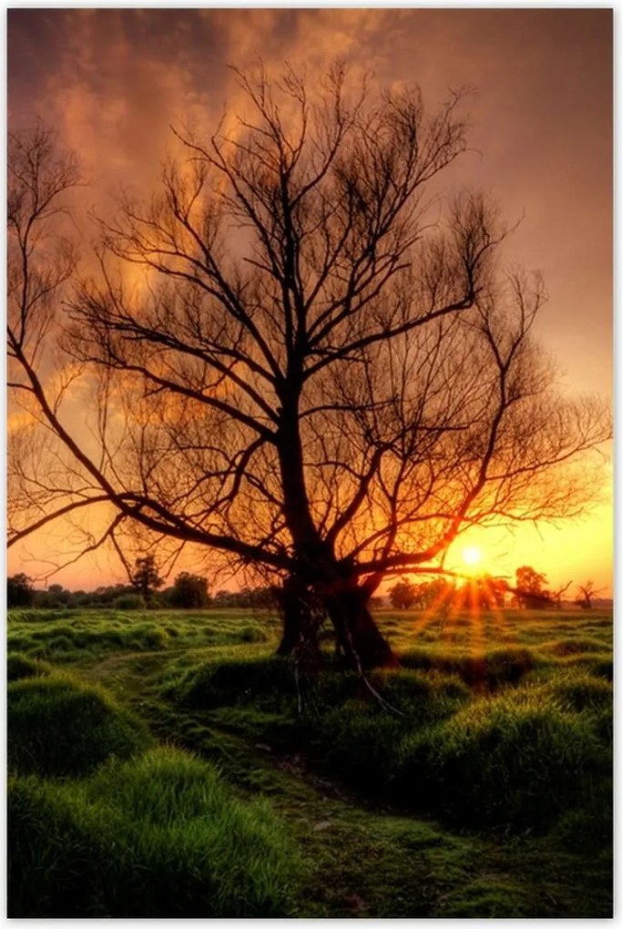 Poszterek 80x120 Egy este a croissant-ban