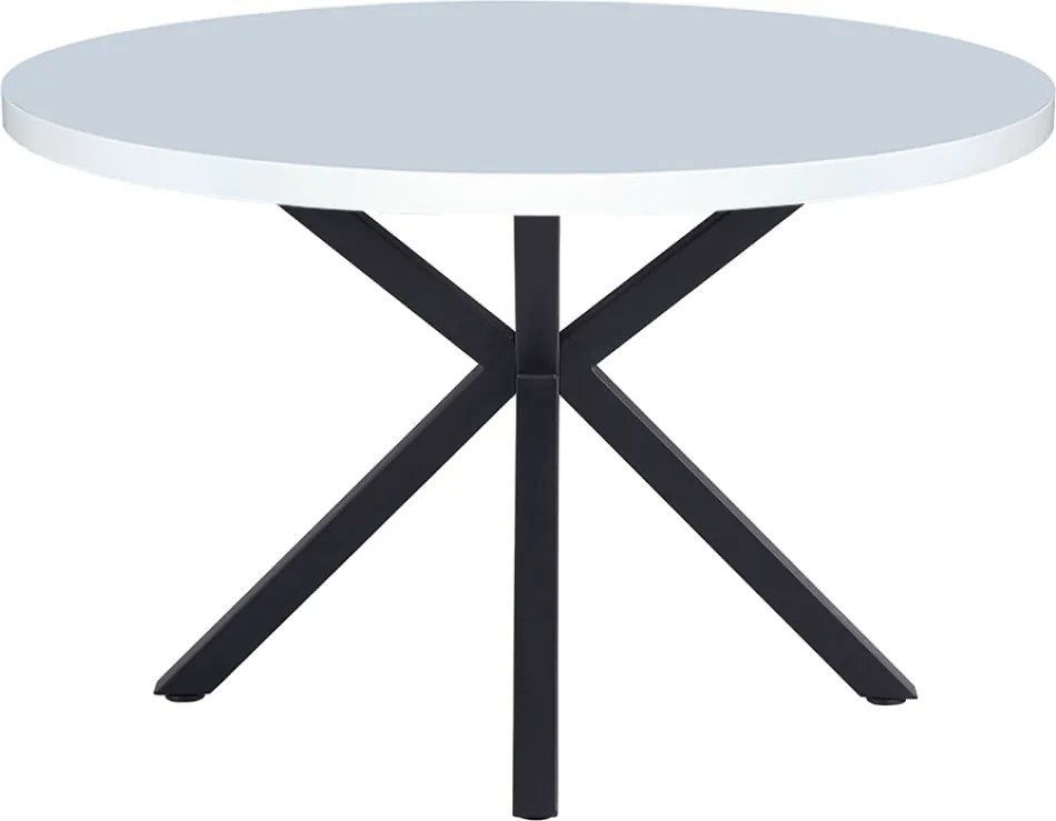 Étkezőasztal, fehér matt/fekete, átmérő 120 cm, MEDOR