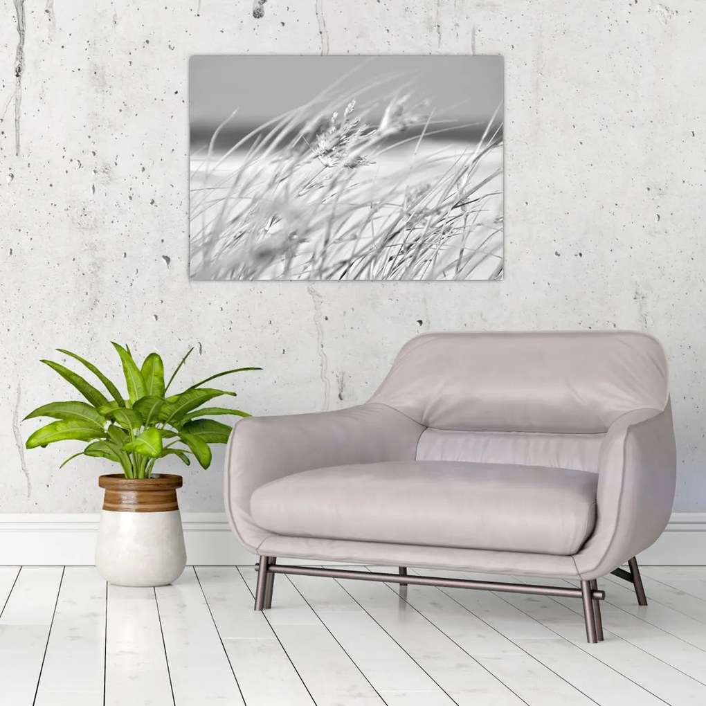 Üveg kép - Strandfű (70x50 cm)