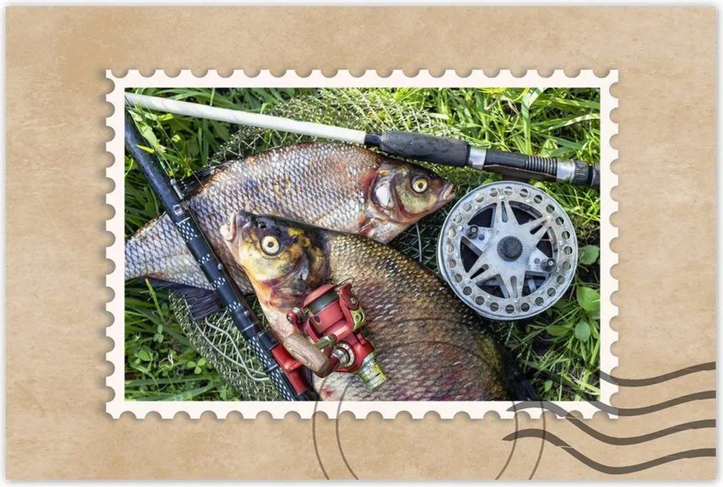 Poszter 60x40 Nagy friss hal