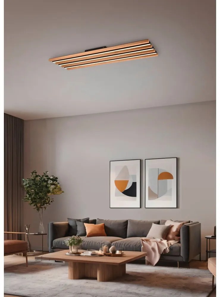 Fekete-natúr színű LED dimmelhető mennyezeti lámpa 6x114 cm Fontana – Trio