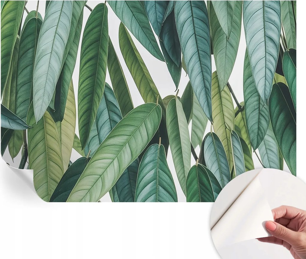 Design fali fotótapéta öntapadós natúr levelek 152x104 cm