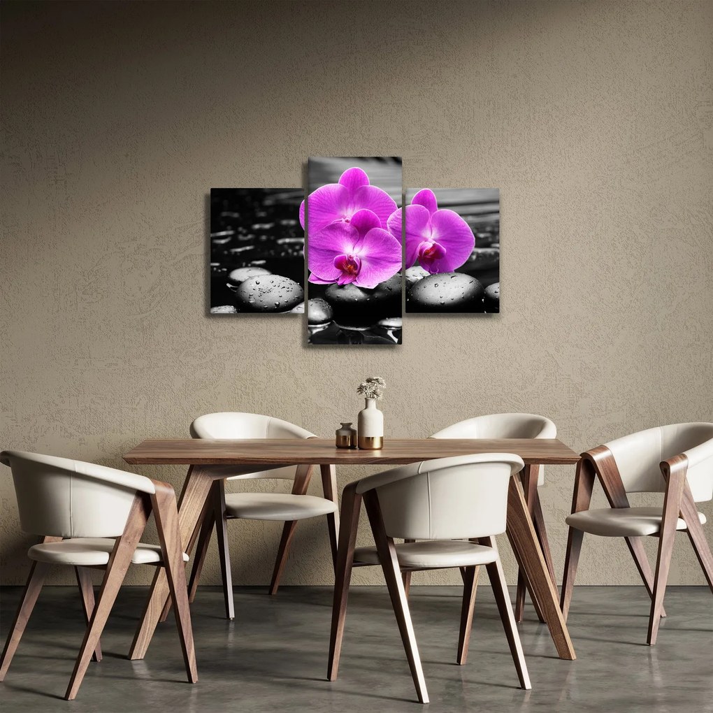 Kép - Lila orchideák (90x60 cm)