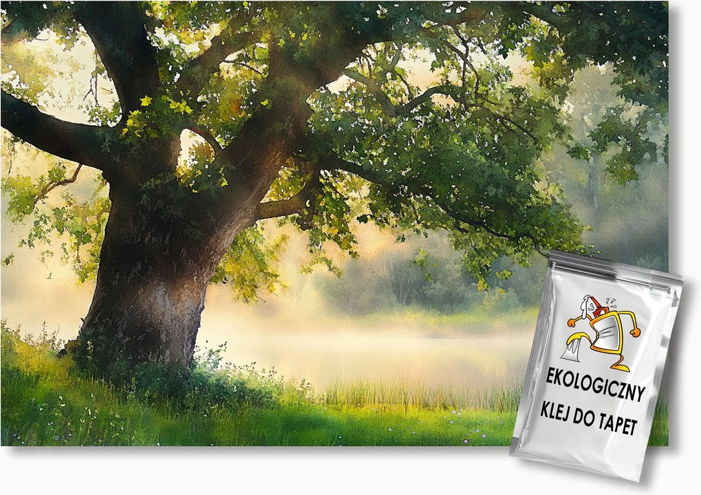 Fotótapéta Flizelina Tájkép Fa Folyó Tó Nap Köd 150x105 ragasztó