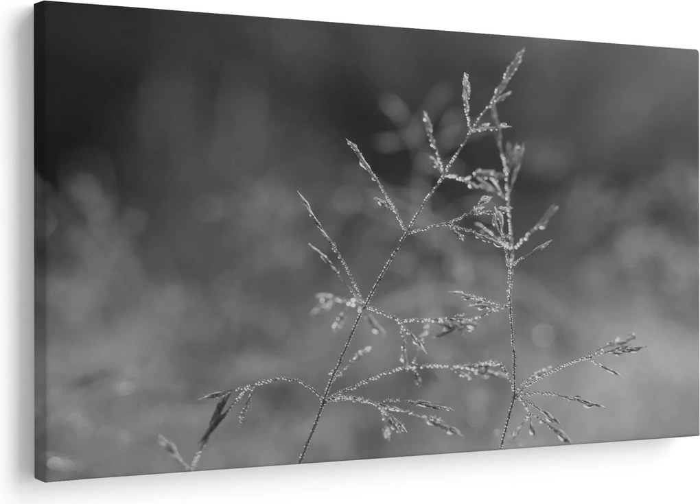 Kép - Vidéki rét (90x60 cm)