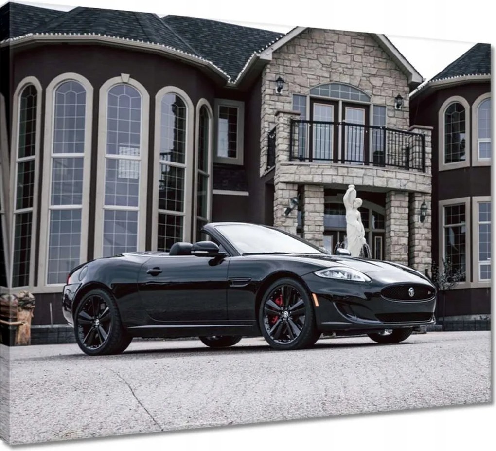 Vászonkép 50x40 Autó Fura Sport