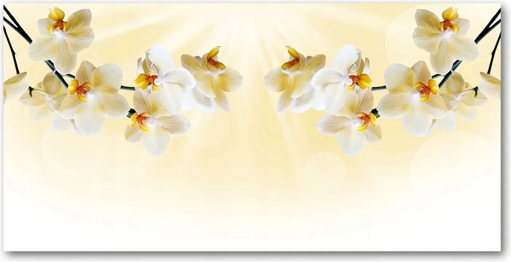 Orchidea konyhabútor közötti panel 120x60 Ragasztó