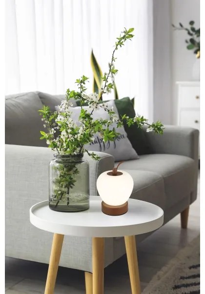 Globo 21011 - LED Dimmelhető asztali lámpa EVALINA LED/2W/3,7V