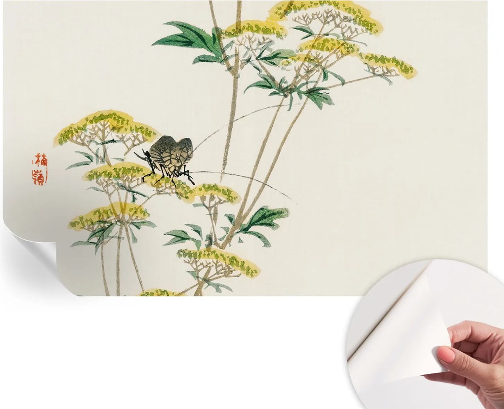 Öntapadós tapéta Divatos 3D fali ragasztó Virágok természet 416x254 cm