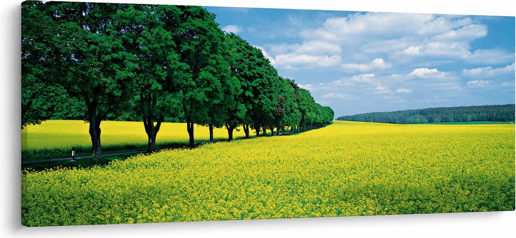 A mező képe egy sikátorral (120x50 cm)