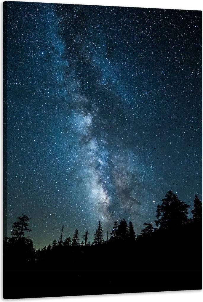 Vászonkép Kozmosz Éjszaka Erdő Köd Természet Csillagászat 60x90