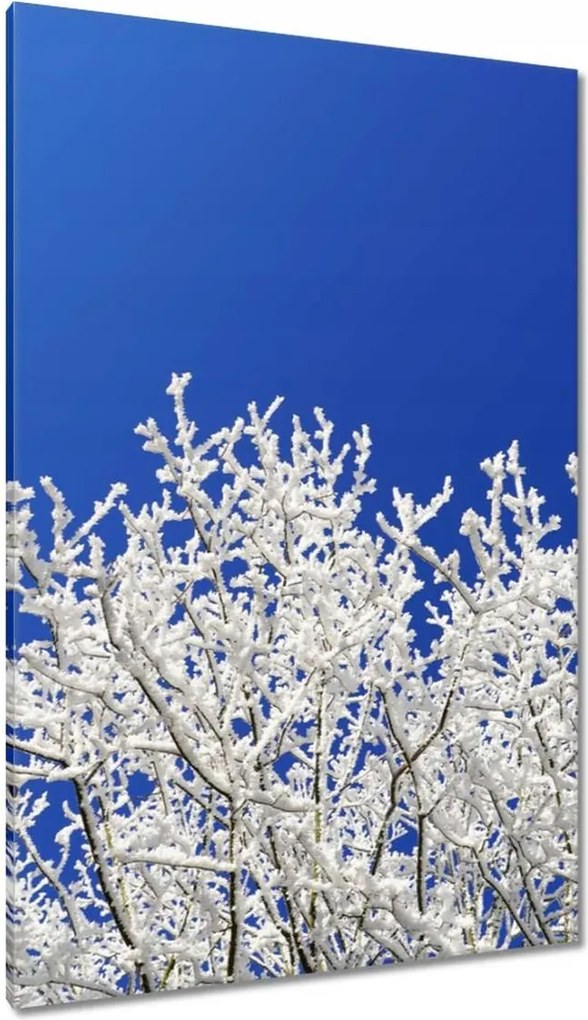 Vászonkép 80x120 Téli fa Szron Hó