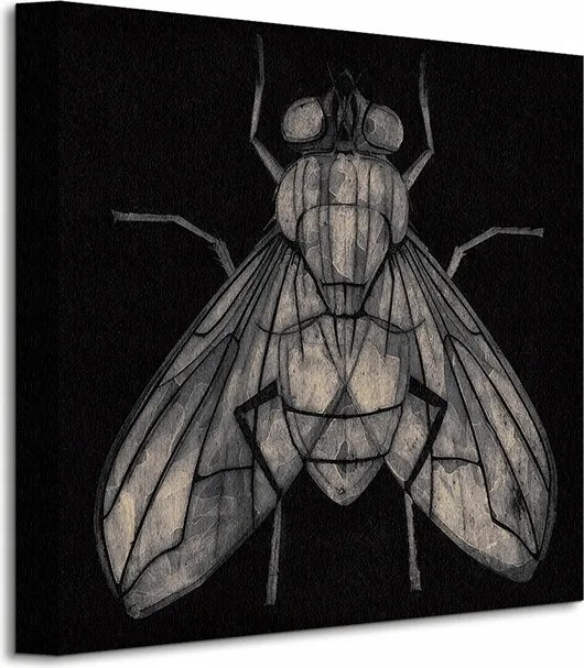 Barry Goodman Mucha vászonkép 30x30 cm