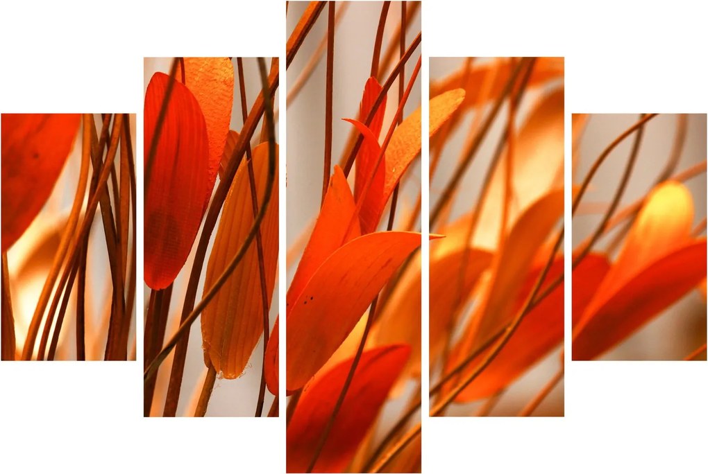 A szirmok képe (150x105 cm)