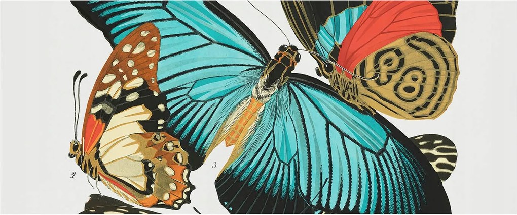 Dekoratív Fotótapéta Hálószobába Színes pillangók 250x104 Ragasztó