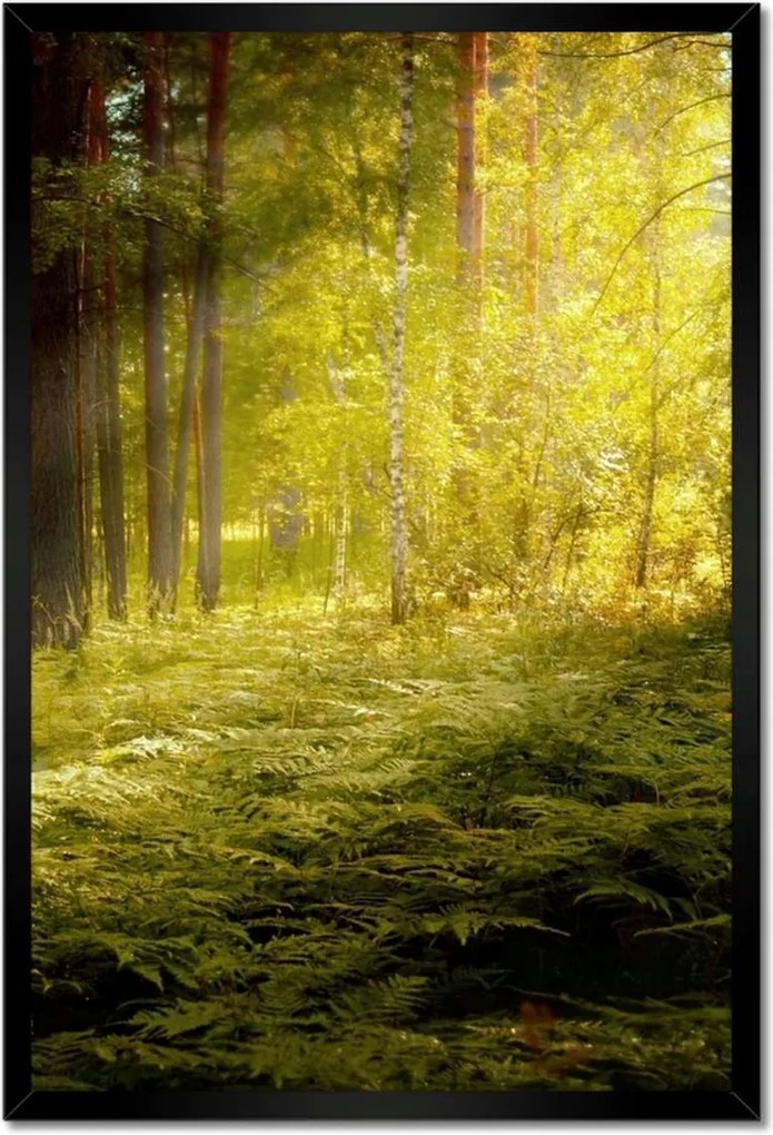 Poszterek keretben 40x60 Napfelkelte az erdőben