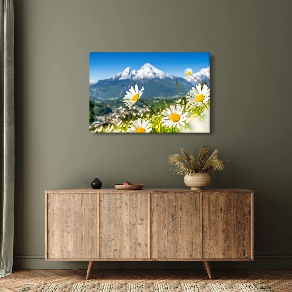 Kép - tavasz az Alpokban (90x60 cm)