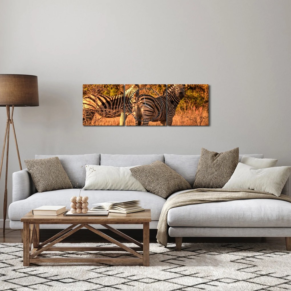 Zebrák képe (órával) (90x30 cm)