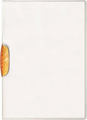 Gyorsfűző, klipes, A4, DURABLE Swingclip&amp;reg; 30, narancs (DB226009)