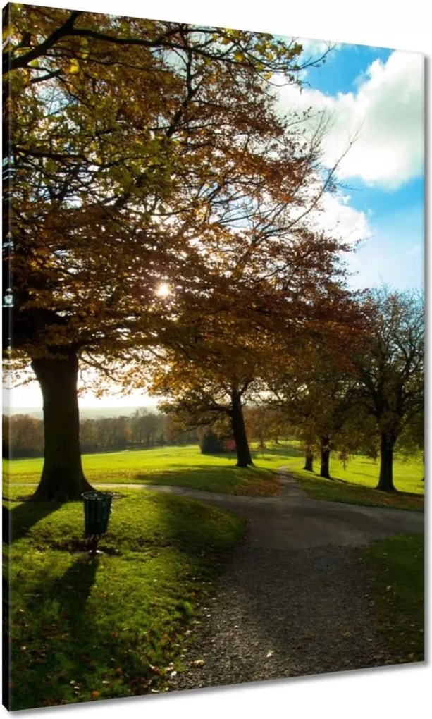 Vászonkép 70x100 Őszi tájkép