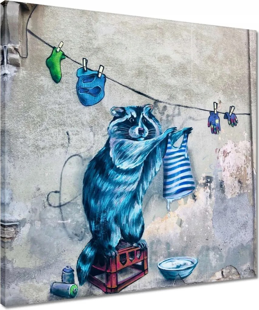 Vászonkép 50x50 Mosómedve mosómedve graffiti csíkok