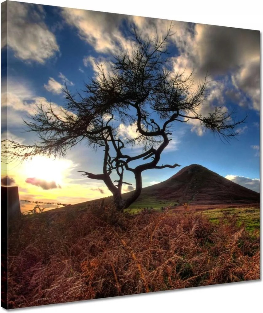 Vászonkép 40x40 Fa