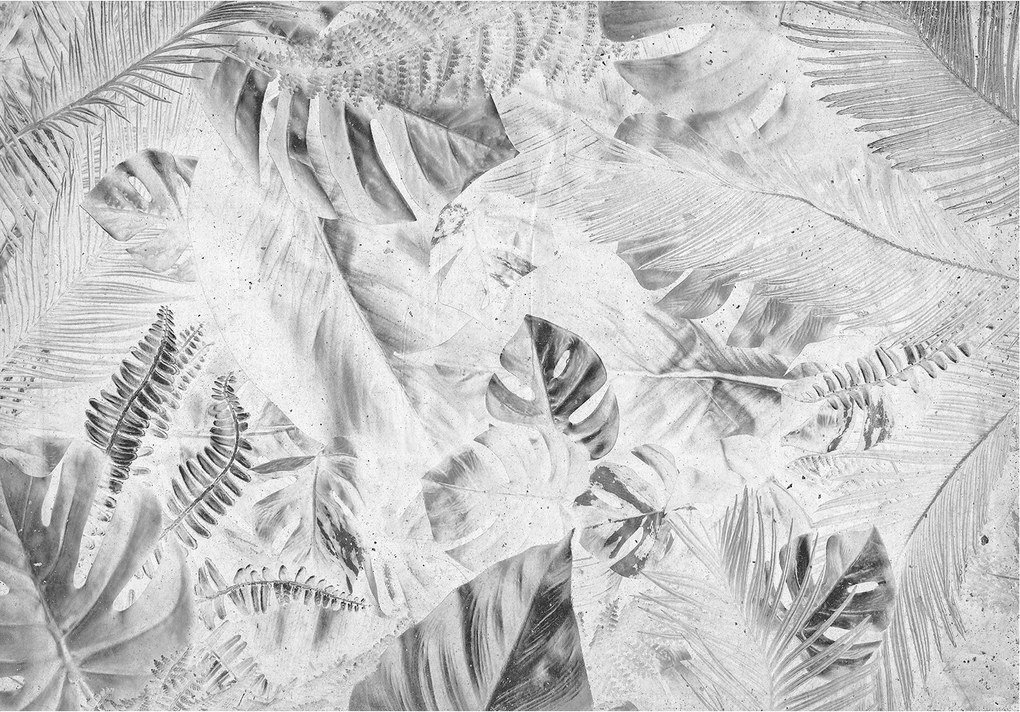 Fotótapéta Trópusi levelek monstery pálmafák vinil páfrányok 460x300 +ragasztó