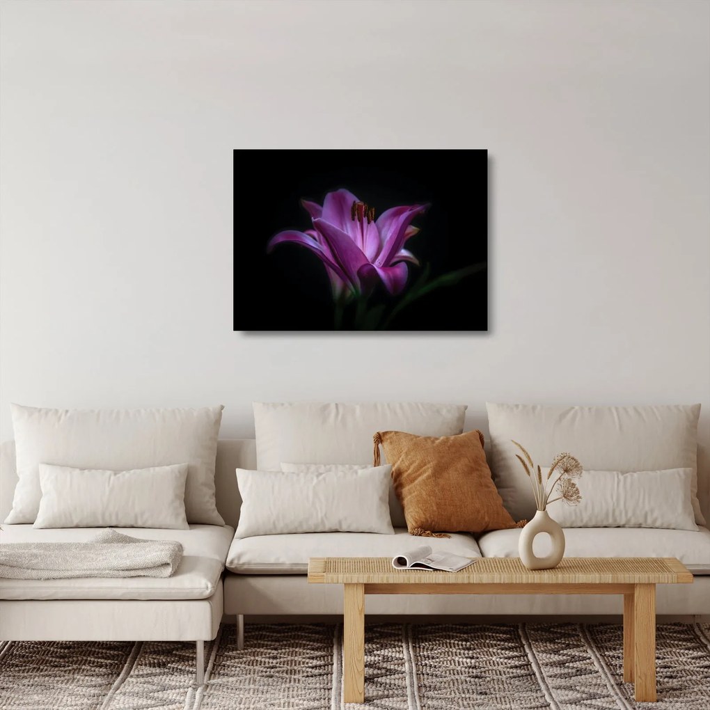 A liliom képe
(üvegen) (70x50 cm)