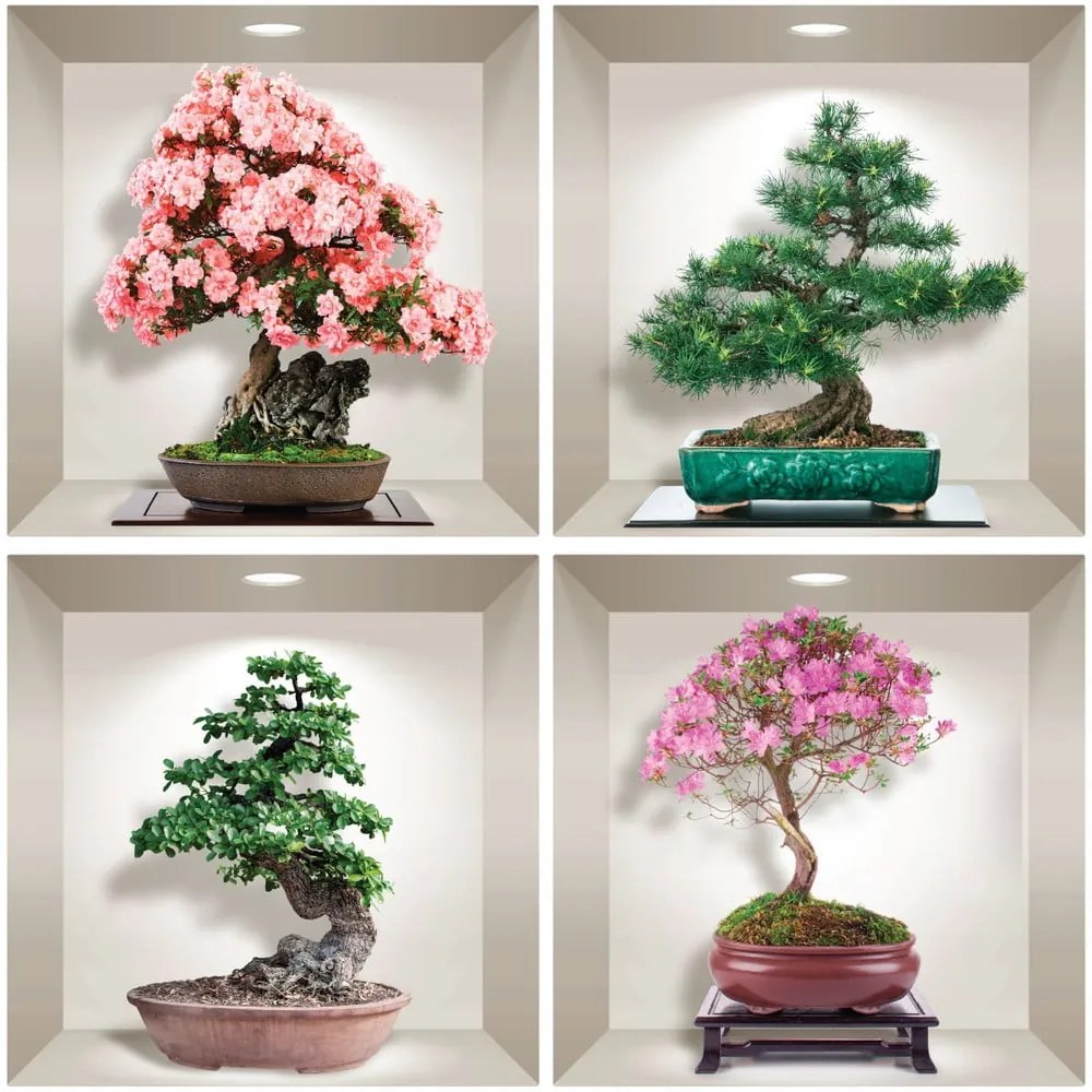 Bonsai of Seasons 4 db-os 3D falmatrica szett - Ambiance