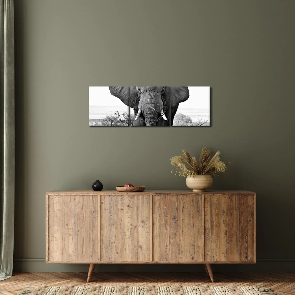 Kép - Afrikai elefánt II. (órával) (90x30 cm)