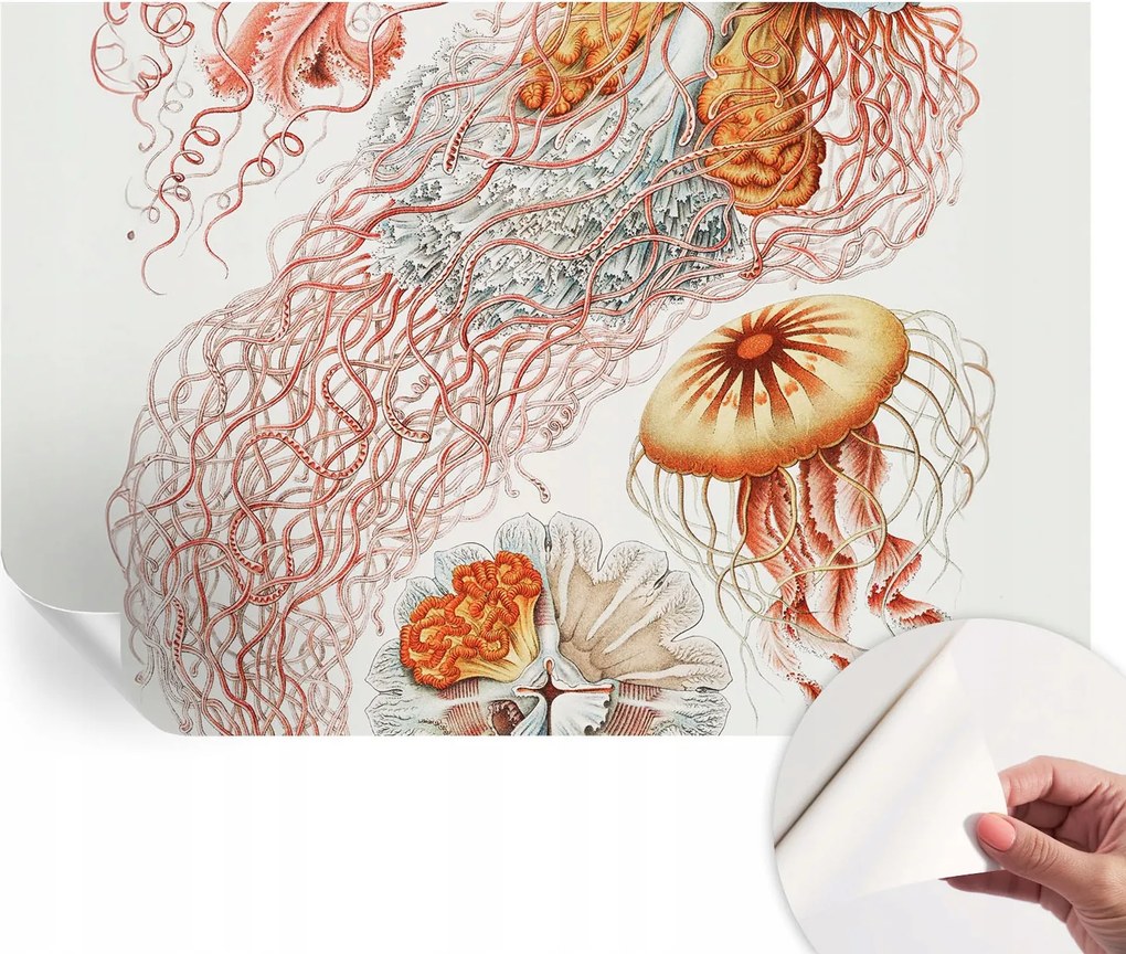 Modern öntapadós fali fotótapéta Fantázia medúzák 104x70 cm